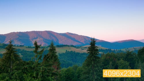 Idyllic Landscape With Forest and Rolling Hills