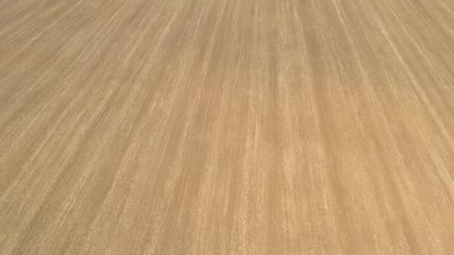Freshly Tilled Farmland Viewed from Above
