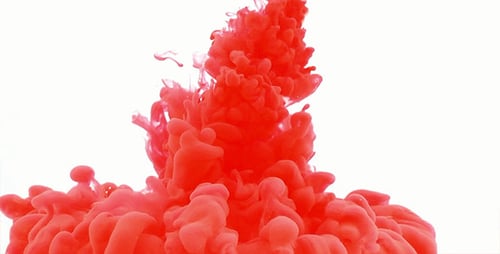 Vibrant Red Paint Swirling in Water on White