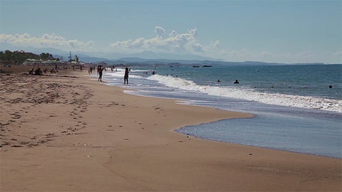 Summer Beach