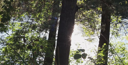 Lake of the Woods