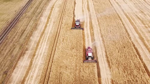 Two grain harvesters cuts the stocks and threshes them up to knock the grain right out, Aerial view.