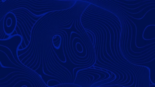 Abstract Flowing Blue Topographic Line Background Loop