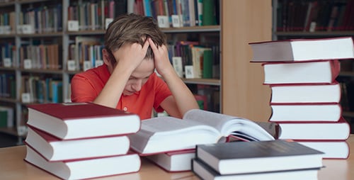Boy Studying with Many Books in a Library