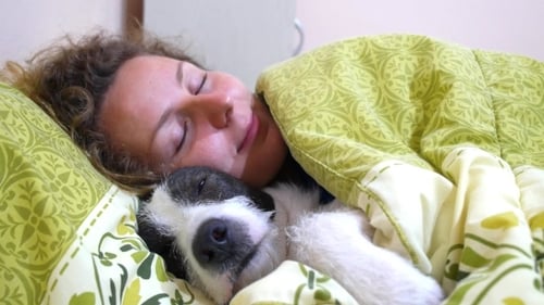Cute Dog Sleeping Next To Young Woman In Bed.