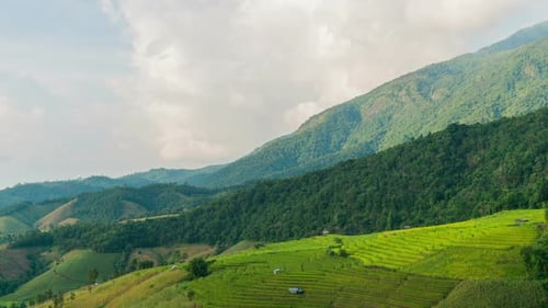 Rice Terraces