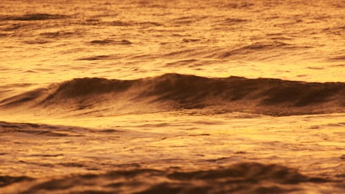 Sea