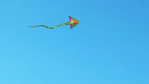 Kite Flying