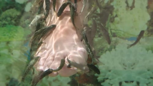 Peeling durch Fische - Exotische Spa-Behandlung 2