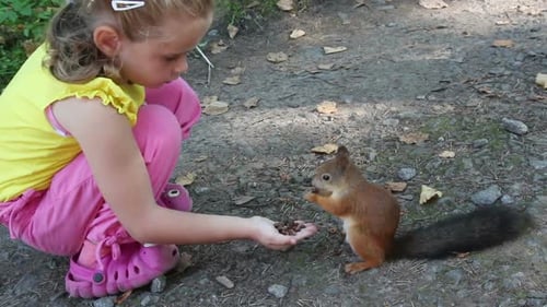 Little Girl Feeding Squirrel Nuts In Park 3