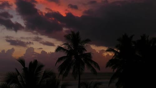 Wunderschöne Landschaft Tropisches Meer Sonnenuntergang Und Palme im Vordergrund - 1