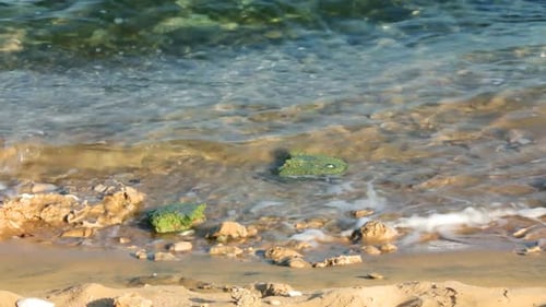 Turquoise Sea Water Waves And Stones 2