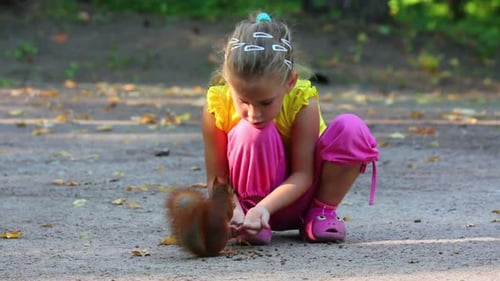 Little Girl Feeding Squirrel Nuts In Park 2