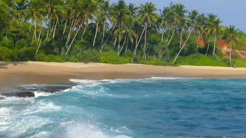 Beautiful Landscape Sea Waves On Tropical Beach And Coconut Palms 4