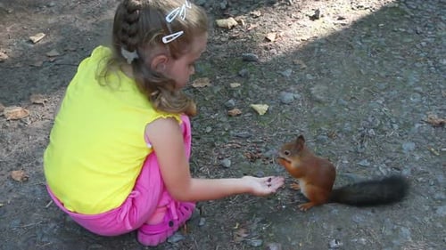Little Girl Feeding Squirrel Nuts In Park 4