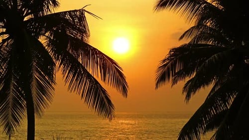 Wunderschöne Landschaft Tropisches Meer Sonnenuntergang Und Palme im Vordergrund - 3