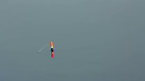 Bouchée de pêche - Flottez sur l'eau tranquille du lac 3