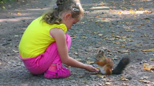 Little Girl Feeding Squirrel Nuts In Park 1