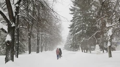 Pedestrians Walk On The Sidewalk In A Blizzard