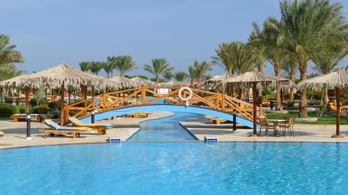 Swimming Pool Palm Trees 2