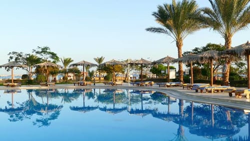 Swimming Pool Palm Trees In Resort At Morning 2