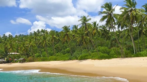 Beautiful Landscape Sea Waves On Tropical Beach And Coconut Palms 5