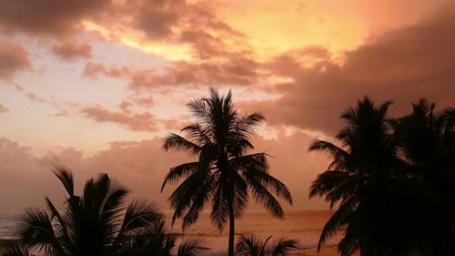 Schöne Landschaft Tropisches Meer Sonnenuntergang Und Palme im Vordergrund