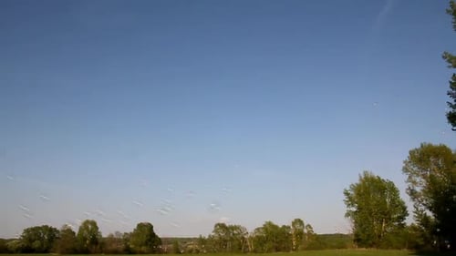 Bubbles Float Above Green Field on a Sunny Day