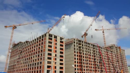 Working Construction Cranes 3