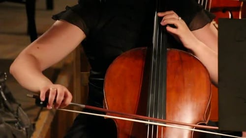 View On Violoncello In Orchestra -