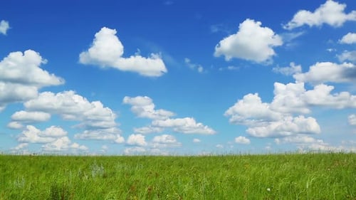 Background Green Meadow Under Blue Sky Clouds