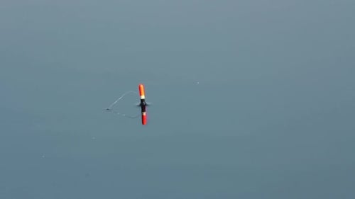 Fishing Bite - Float On Tranquil Water Of Lake 2