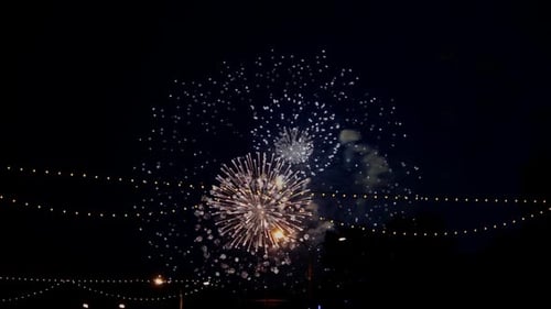 Exploding Fireworks Light up Night Sky