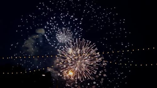 Colorful Fireworks Exploding in the Night Sky