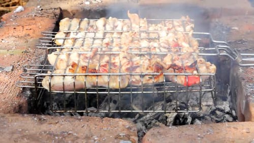 Cooking Barbecue On Grill 1