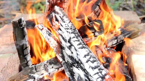 Fireplace Burning Flame 1