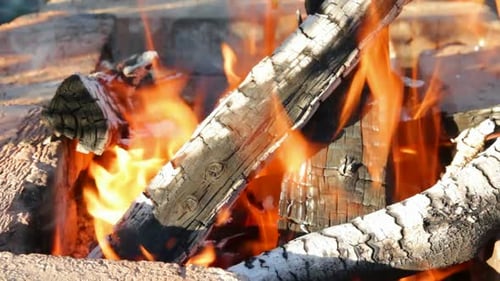 Fireplace Burning Flame 2