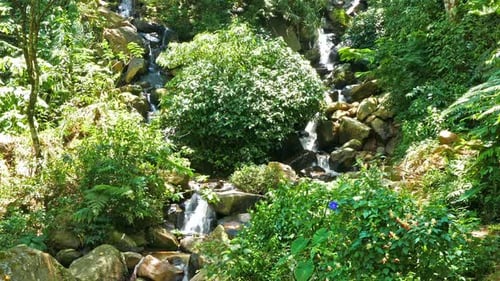 Forest Waterfall In Sri Lanka 1