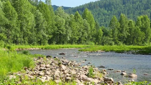 Landscape Mountain River Flowing Over Rocks At Summer 1