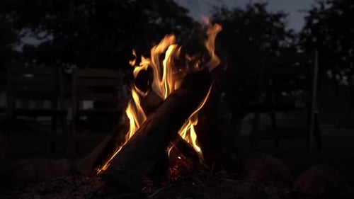 Bonfire in Camp at Night
