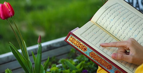Koran lesen