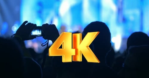 Silhouetted Crowd Enjoying Live Music Event at Night