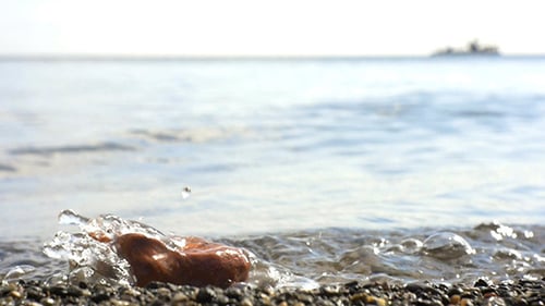 Sea