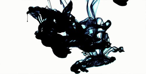 Black Ink Swirling in White Background, Close Up