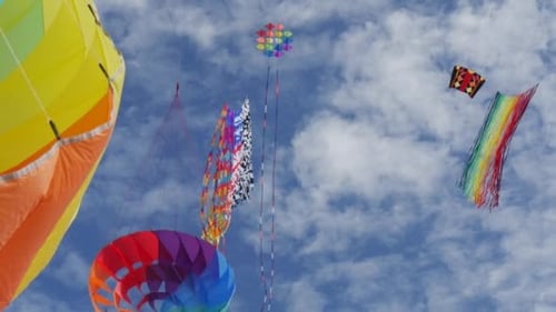 Kites of All Kinds
