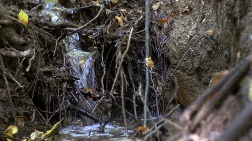 Creek