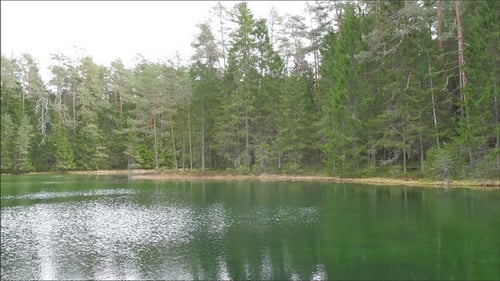 Eine große Wasserquelle, umgeben von Bäumen