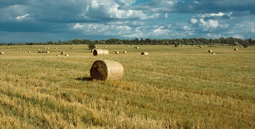 Haystacks