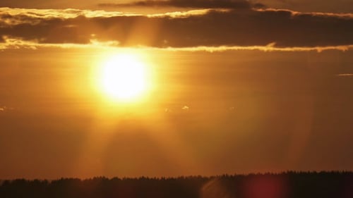 Sunset Over the Forest