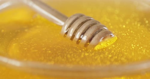O mel fresco com uma colher de pau gira.